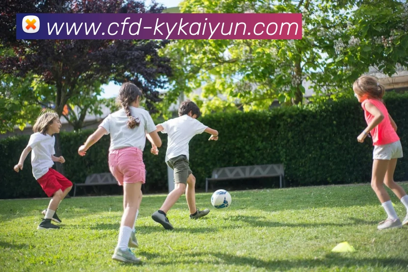 App Interface Preview