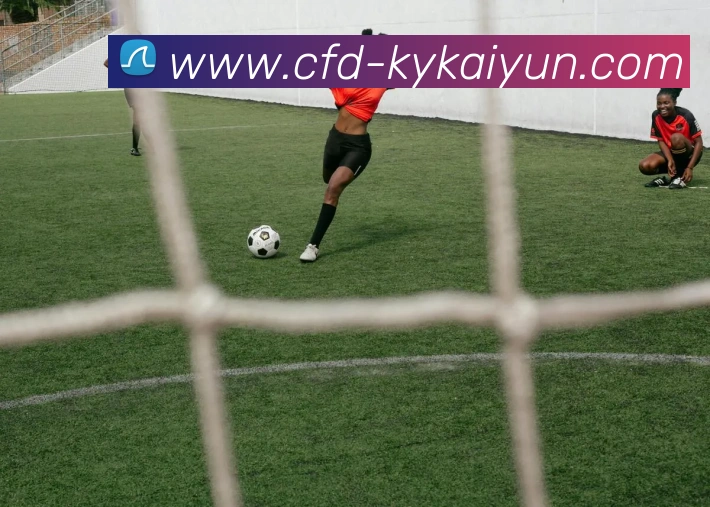 数据防护可视化